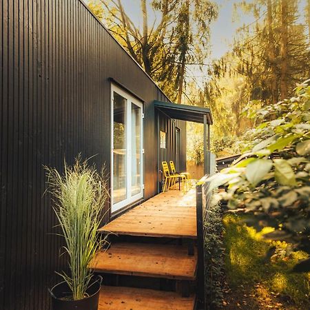 Black Cabin, uniek nieuw verblijf midden op de Veluwe Koudhoorn Buitenkant foto